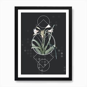 Vintage Malgas Lily Botanical with Geometric Line Motif and Dot Pattern n.0018 Art Print