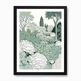 Parks And Public Gardens With Peonies 1 Drawing Art Print