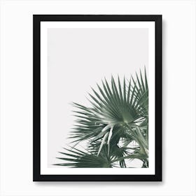 Palm Tree 2 Art Print