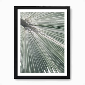 Palm Leaf 3 Art Print