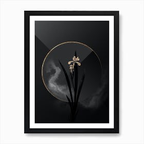 Shadowy Vintage Yellow Banded Iris Botanical in Black and Gold n.0101 Art Print