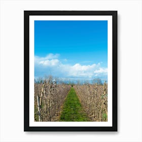 Vineyards 20200301 78ppub Art Print