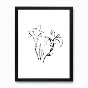 Lily Of The Valley 7 Art Print