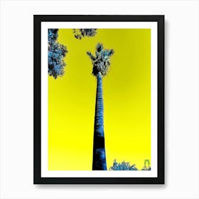 Palm Tree 202309231740190rt1pub Art Print