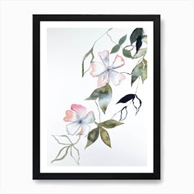 Cherry Blossom 14 Art Print