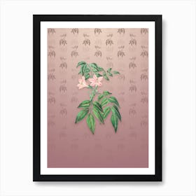 Vintage Turraea Pinnata Flower Botanical on Dusty Pink Pattern n.1877 Art Print