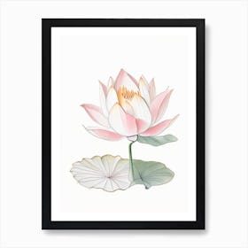 Lotus Flower In Garden Pencil Illustration 1 Art Print
