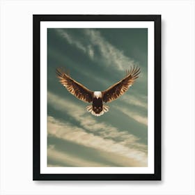Bald Eagle Flying Art Print