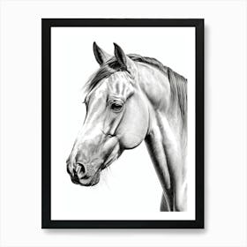 Highly Detailed Pencil Sketch Portrait of Horse with Soulful Eyes 7 Art Print