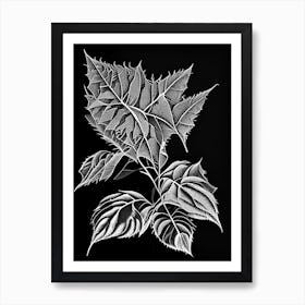 Pokeweed Leaf Linocut 1 Art Print