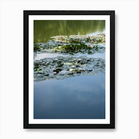 Water lilies and reflection in the water Art Print
