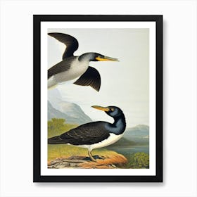 Cormorant James Audubon Vintage Style Bird Art Print