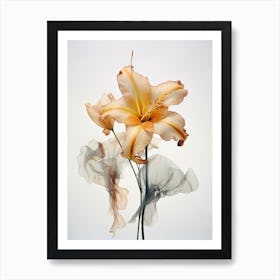 Pressed Flower Botanical Art Lily 3 Art Print