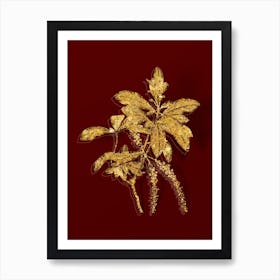 Vintage Swamp Titi Leaves Botanical in Gold on Red n.0402 Art Print