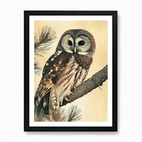 Boreal Owl Vintage Illustration 4 Art Print