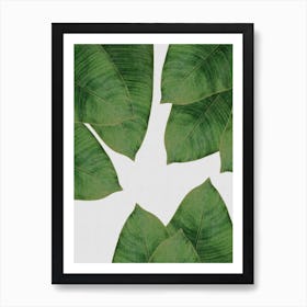 Banana Leaf III Art Print