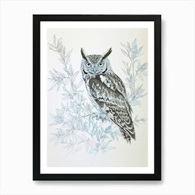 Collared Scops Owl Drawing 1 Art Print