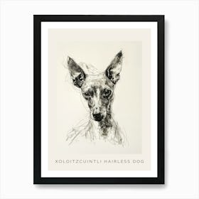 Xoloitzcuintli Hairless Dog Line Sketch 1 Poster Art Print