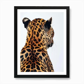 Leopard - Close Up 3 Art Print