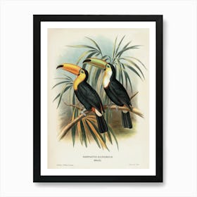 Brazilian Toucans
A classic illustration of two toucans perched on branches, showcasing their vivid beaks and sleek plumage.
Ideal for a living room, study or reading nook, adding an exotic, vintage touch. Art Print