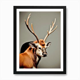 Deer stage Art Print
