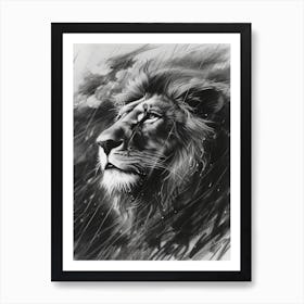 African Lion Charcoal Drawing Facing A Storm 3 Art Print