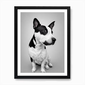 Miniature Bull Terrier B&W Pencil Dog Art Print