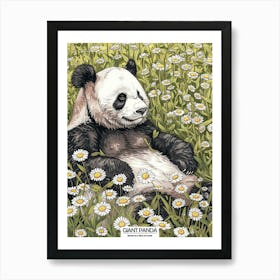 Giant Panda Resting In A Field Of Daisies Poster 5 Art Print