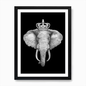 The King Elephant On Black Art Print