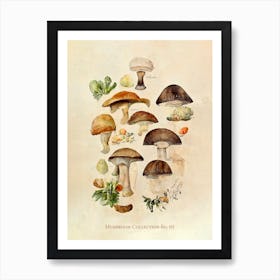 Mushroom Collection 01 Affiche