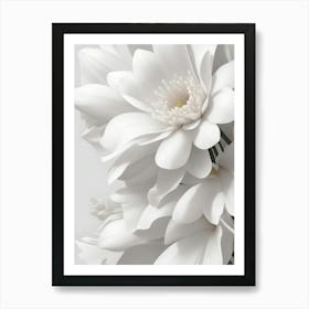 White Flowers Canvas Print Art Print