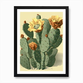 Vintage Cactus Illustration 3 Art Print