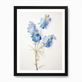 Pressed Flower Botanical Art Larkspur 2 Art Print