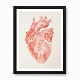 Human Heart 1 Art Print