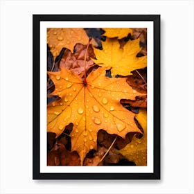 Autumn Leaves after Rain Art Print