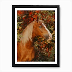 Horse Fall Colors Art Print