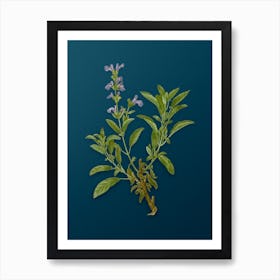 Vintage Garden Sage Botanical Art on Teal Blue n.0124 Art Print
