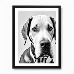 Redbone Coonhound B&W Pencil Dog Art Print