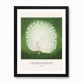 Peacock Poster Art Print