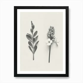 Freesia Flower Photo Collage 4 Art Print