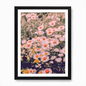 Wild Daisies Poster