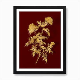 Vintage Rose of the Hedges Botanical in Gold on Red n.0013 Art Print