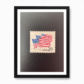 Usa Flag Art Print