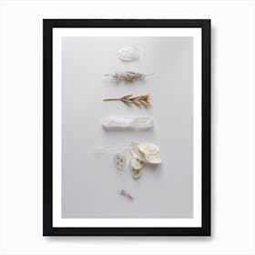 Stones And Branches 1 Art Print