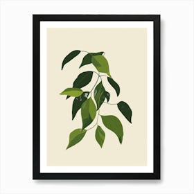 Wandering Jew Plant Minimalist Illustration 8 Art Print