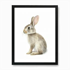 American Sable Rabbit Kids Illustration 2 Art Print