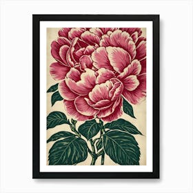 Peony 1 Art Print