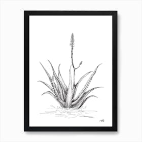 Black and White Aloe with One Flower Art Print