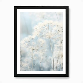 Frosty Botanical Queen Annes Lace 2 Art Print