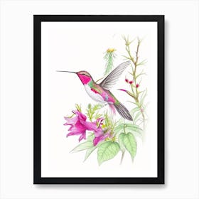 Hummingbird In A Garden Quentin Blake Illustration Art Print